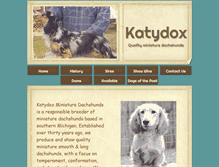 Tablet Screenshot of katydox.com